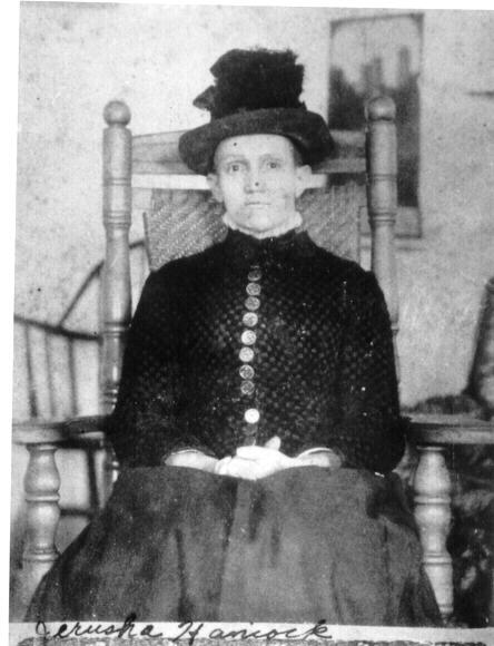 Jerusha Seabury (1844 - 1908) Profile